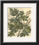 Buy Weathered Maple Leaves I at AllPosters.com