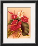 Buy Red and White Anthuriums at AllPosters.com