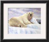 Buy Ice Kingdom at AllPosters.com