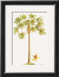 Buy Papaya Tree at AllPosters.com