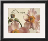 Dream