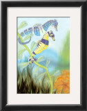 Seahorse Serenade III