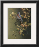 Buy Merle, Bleu at AllPosters.com