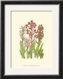 Buy Summer Garden VII at AllPosters.com