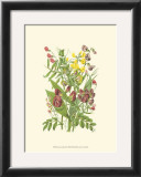 Buy Summer Garden IX at AllPosters.com