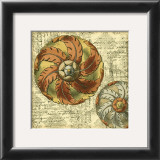 Vintage Rosette III