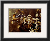 Buy Blackburnian Warbler at AllPosters.com
