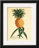 Buy Ho'okipa at AllPosters.com