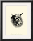 Buy Antique Cattle II at AllPosters.com