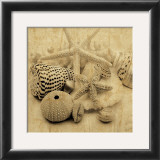 The Collection I