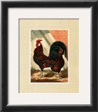 Buy Roosters with Mat V at AllPosters.com