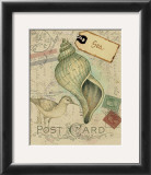Buy Postcard Shells II at AllPosters.com