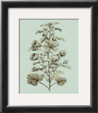 Buy Custom Imperial Munting I at AllPosters.com
