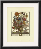 Twelve Months of Flowers, 1730, March