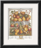 Twelve Months of Fruits, 1732, January
