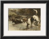 Buy The Home of the Otter at AllPosters.com