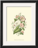 Buy Summer Garden V at AllPosters.com