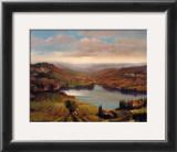 Buy Vineyard View I at AllPosters.com