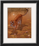 Tiger at the Edge of Night