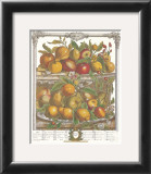 Twelve Months of Fruits, 1732, April