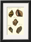 Buy Neptune's Treasure IV at AllPosters.com