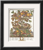 Twelve Months of Fruits, 1732, June