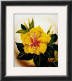 Buy Yellow Hibiscus at AllPosters.com