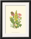 Buy Summer Garden X at AllPosters.com