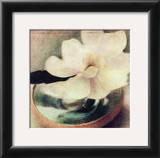 Buy Nature's Blossoms III at AllPosters.com