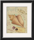 Buy Postcard Shells III at AllPosters.com