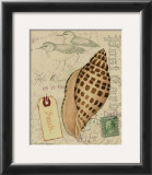 Buy Postcard Shells I at AllPosters.com