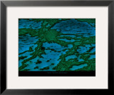 Buy Grande Barriere de Corail at AllPosters.com