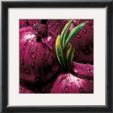 Buy Onions at AllPosters.com