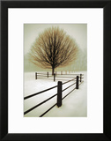 Buy Solitude at AllPosters.com