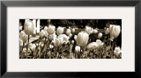 Buy Tulips in the Breeze I at AllPosters.com