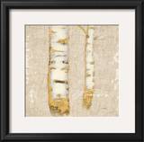 Buy Natural Wonder at AllPosters.com