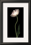 Buy Grace I at AllPosters.com