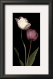 Buy Grace III at AllPosters.com