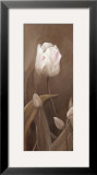 Buy Sepia Tulip Panel I at AllPosters.com