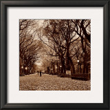 Buy Central Park at AllPosters.com