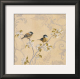 Chickadee and Pear