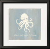 Imperial Octopus