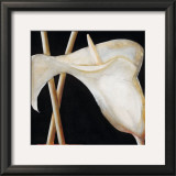 Buy Lily in Sepia II at AllPosters.com