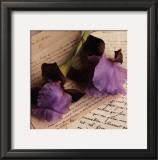 Buy Rose sur Livres II at AllPosters.com