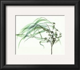 Wind