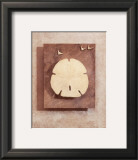 Buy Seashell Study I at AllPosters.com