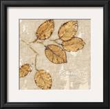 Buy Natural Renewal at AllPosters.com