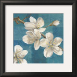 Blossom Branch