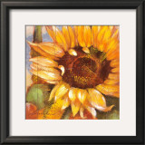 Buy Head of the Sun at AllPosters.com