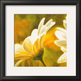 Buy Marguerites dans le Soleil II at AllPosters.com